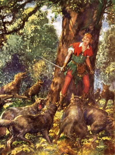 Robin Hood v pasti vlků od John Millar Watt
