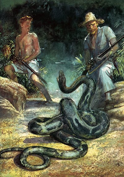 Švýcarská rodina Robinsonových od John Millar Watt