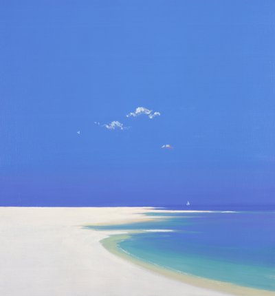 Průlet Voyager, 2001 od John Miller