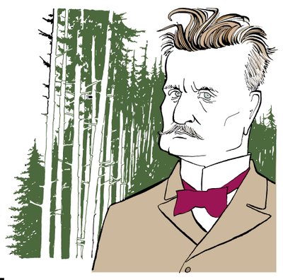 Jean Sibelius na pozadí finských lesů od John Minnion