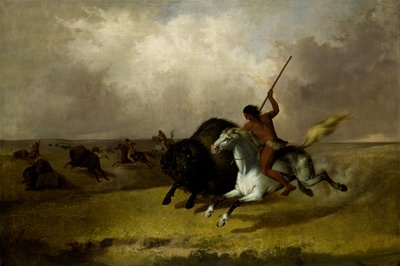 Buffalo Hunt na jihozápadních prériích, 1845. od John Mix Stanley
