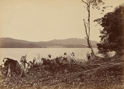 Darienský přístav, Chipigana, 1871 (foto) od John Moran