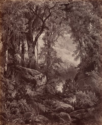 Samota,1865 (foto) od John Moran