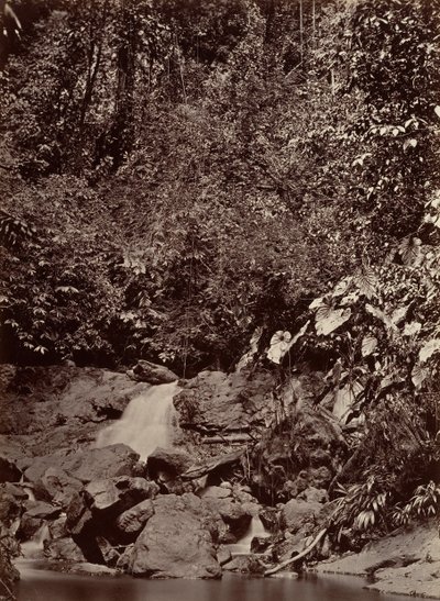 Tropická scenérie, Cascade, Limon River, 1871. od John Moran