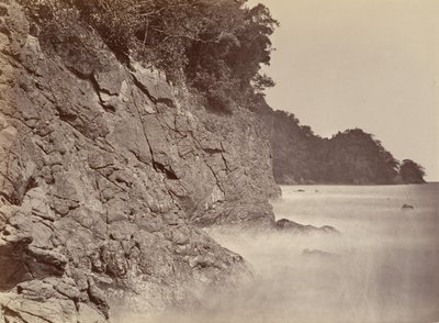 Tropická scenérie, Cliff - Limon Bay, 1871. od John Moran