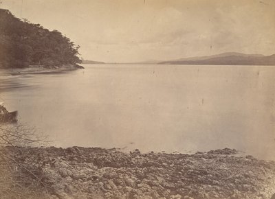 Tropická scenérie, Darien Harbour - Pohled na jih, 1871. od John Moran