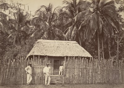 Tropická scenérie, Native Hut, Turbo, 1871. od John Moran