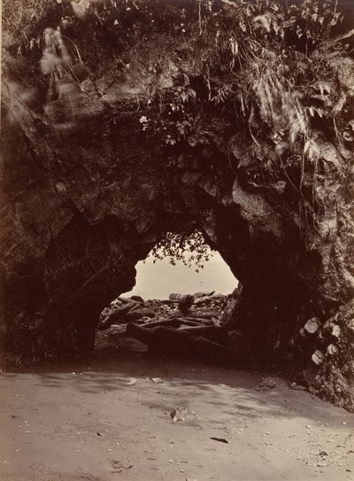 Tropická krajina, přírodní oblouk, zátoka Cupica, 1871. od John Moran