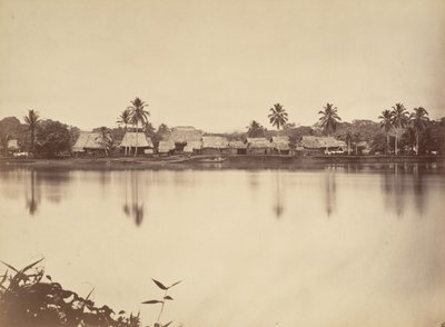 Tropická scenérie, Santa Maria del Real, Darien, 1871. od John Moran