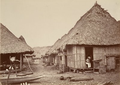 Tropická scenérie, ulice, Chipigana, 1871. od John Moran