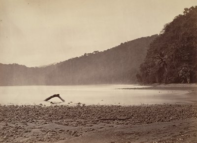 Tropical Scenery, Terminus of the Proposed Canal, Limon Bay, 1871. od John Moran