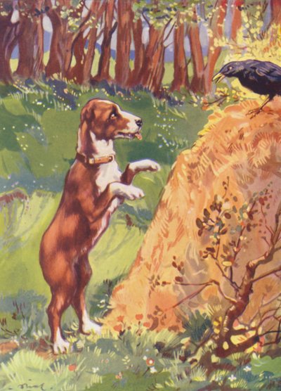 Ilustrace pro Beautiful Joe od Marshalla Saunderse (barevná litografie) od John Nicholson