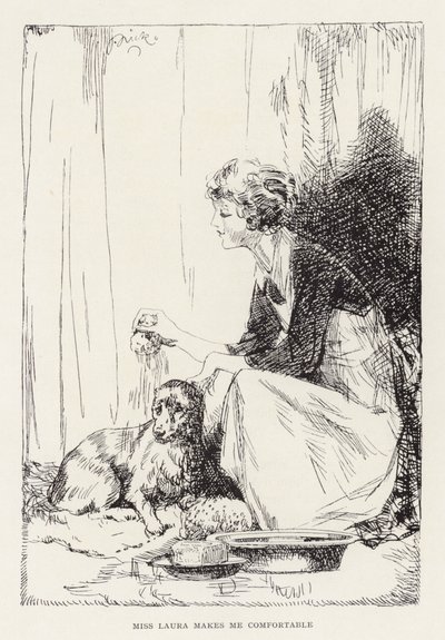 Ilustrace pro Beautiful Joe od Marshalla Saunderse (litografie) od John Nicholson