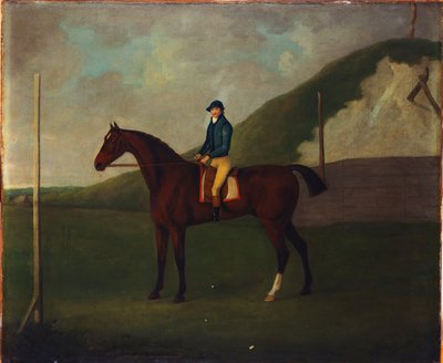 "Creeper", Bay Colt s žokejem nahoře na startovním stanovišti v Running Gap In The Devils Ditch, Newmarket od John Nott Sartorius