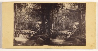 Der Fall des Künstlers od John P. Soule