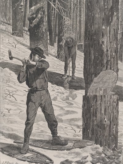 Dřevorubectví v zimě Každou sobotu, sv. II, Nová řada, 28. ledna 1871. od John Parker Davis