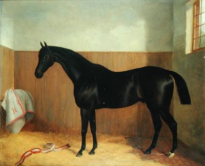 Tommy, Portrét koně, cca 1870 (olej na plátně) od John Paul