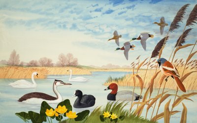 Přírodní scenérie (kvaš na papíře) od John Rignall
