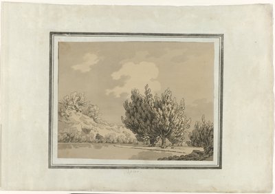 Topol od John Robert Cozens (signed by artist)