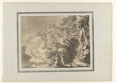 Beuk Buk (název na objektu) Verschillende soorten bomen (název série) Vymezení obecného charakteru, větví a listů lesních stromů (název série) od John Robert Cozens