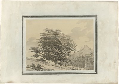 Cedr od John Robert Cozens