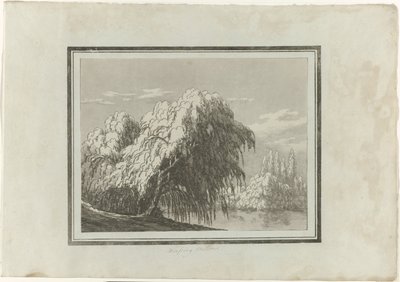 Smuteční vrba od John Robert Cozens
