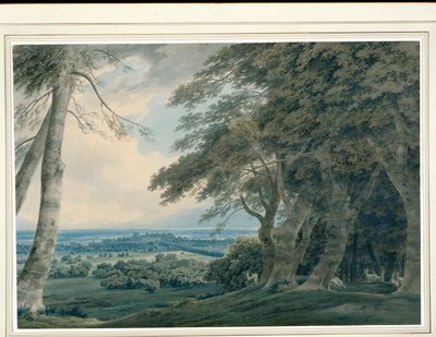 Hrad Windsor z jihozápadu, cca 1787-99 (wc na papíře) od John Robert Cozens