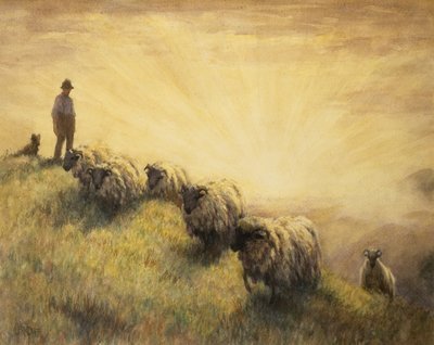 Pastýř přináší domů své stádo od John Robert Keitley Duff