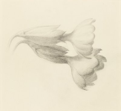 Zvony pastýřů, pravděpodobně 1871. od John Ruskin