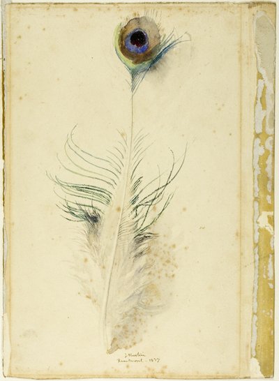 Paví peří od John Ruskin