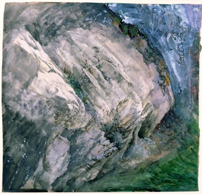 Skály a vegetace v Chamouni, 1854 od John Ruskin