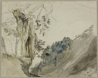 Španělský kaštan od John Ruskin
