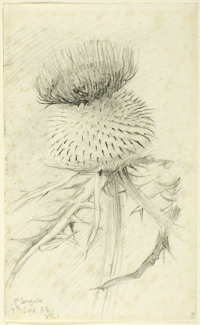 St. Cergues od John Ruskin