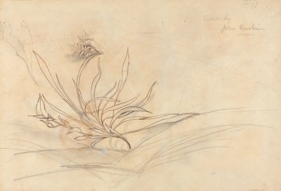 Skalnatý břeh řeky od John Ruskin