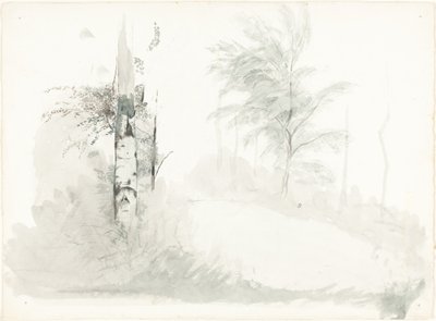 Stromová studie od John Ruskin