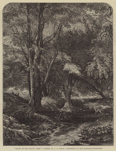 Haunt of the Daněk od John Samuel Raven
