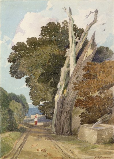 Španělský kaštanovník zasažen bleskem (wc a tužka na papíře) od John Sell Cotman