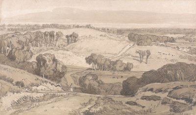 Holt Heath, poblíž Norwiche od John Sell Cotman