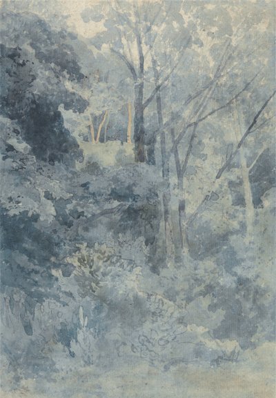 V parku Rokeby od John Sell Cotman