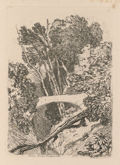 Liber Studiorum: Deska 11: Parsons Bridge, Cardingshire, 1838. od John Sell Cotman