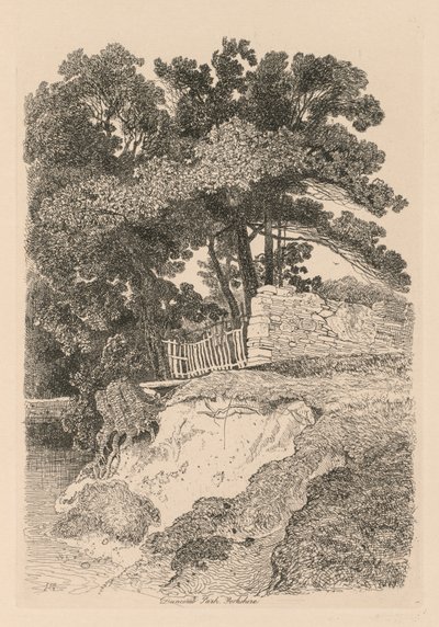 Liber Studiorum: Plate 13, Duncomb Park, Yorkshire: č. 5, 1838. od John Sell Cotman