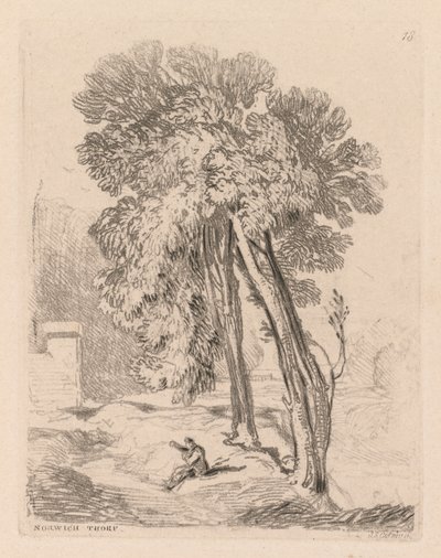 Liber Studiorum: Plate 18, Trees at Norwich Thorp, Norfolk od John Sell Cotman