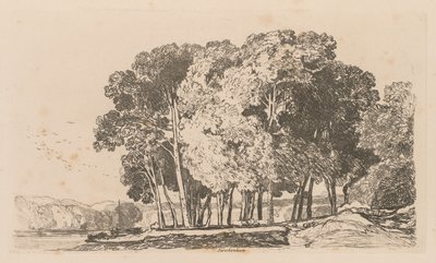 Liber Studiorum: Plate 3, Stromy poblíž Twickenhamu od John Sell Cotman
