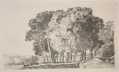 Kniha studií: Twickenham od John Sell Cotman