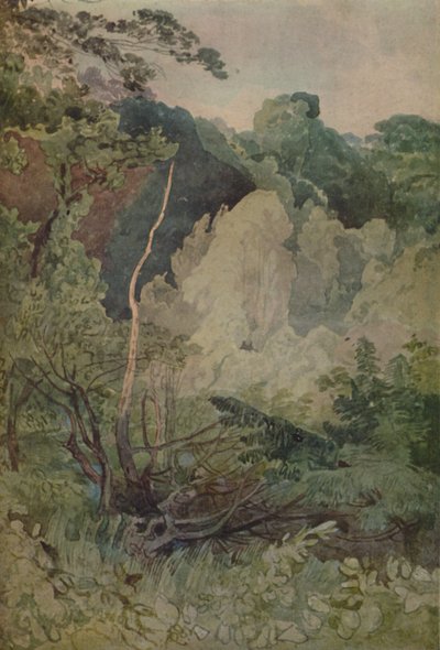 Stromy poblíž řeky Greta, 1923 od John Sell Cotman