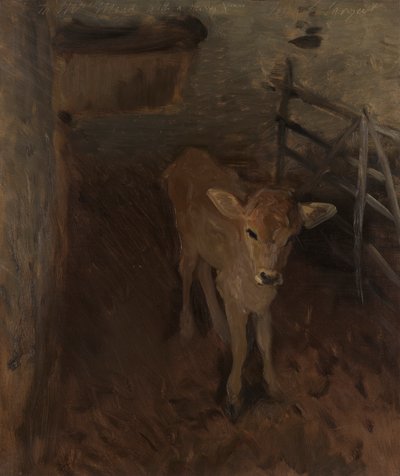 Telátko z Jersey od John Singer Sargent