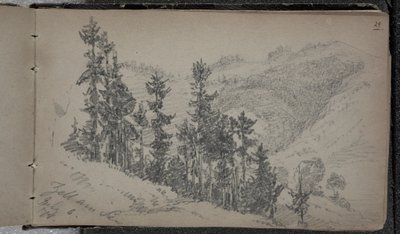 Alpská krajina, Zell am See, Rakousko od John Singer Sargent