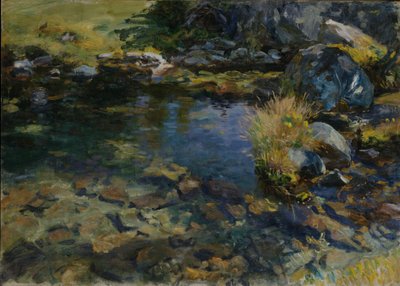 Alpské koupaliště, 1907 od John Singer Sargent