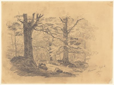 Forest, Ramsau, Německo, 1871. od John Singer Sargent