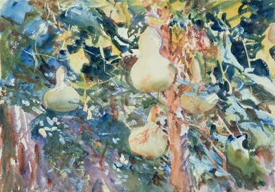 Tykve, cca 1905 (wc na papíře) od John Singer Sargent